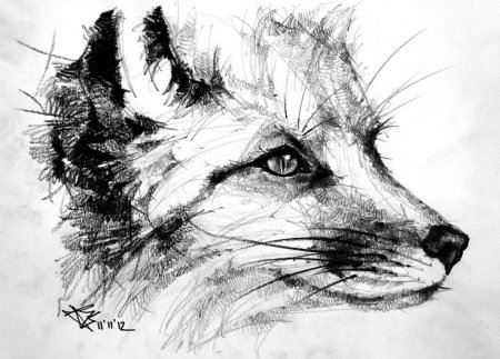 Животные карандашом