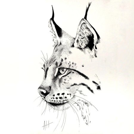 Лошадь эскиз