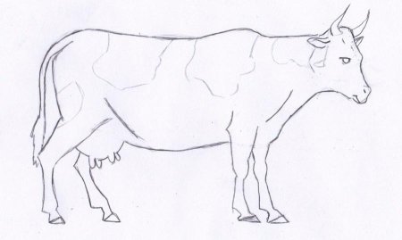 Котенок для рисования