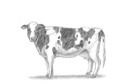 Нарисовать свинью