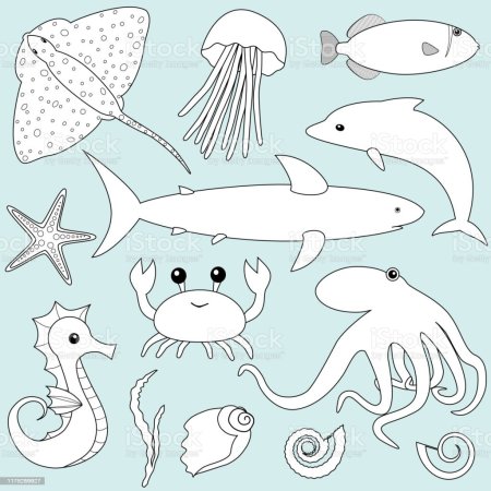 Рисунки для срисовки рыбы легкие