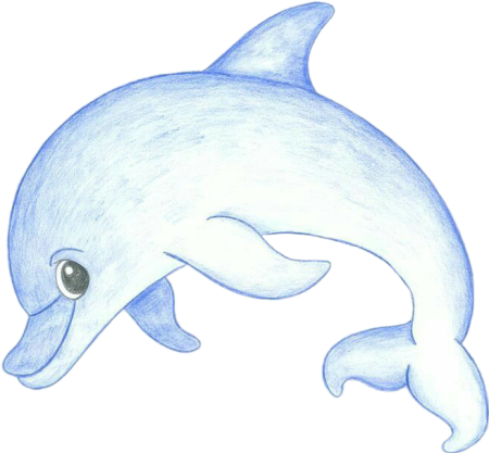 Рисование морские животные