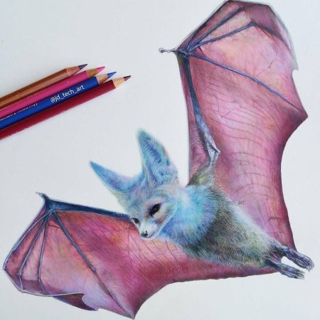 Карандаши цветные "животные"