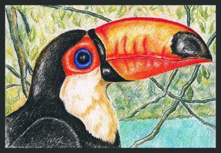 Рисунки цветными карандашами животные для начинающих