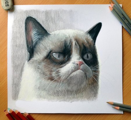 Котик цветными карандашами