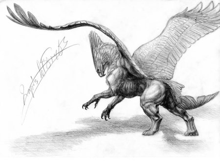 Картинки для срисовки карандашом животные мистические