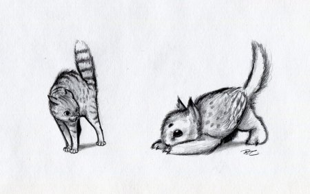 Мифические драконы