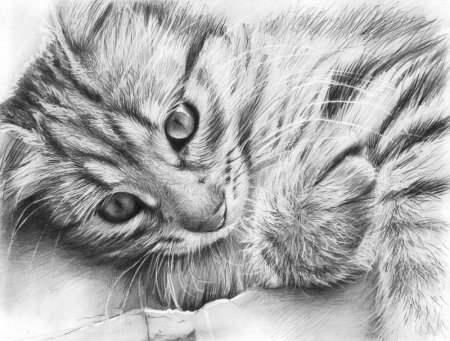 Красивые рисунки животных карандашом