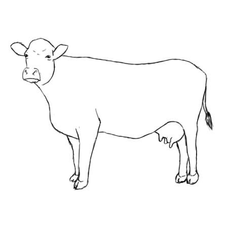 Корова карандашом
