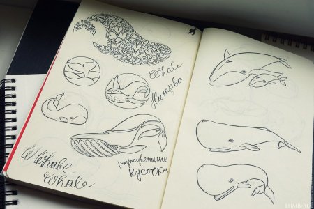 Лёгкие рисунки дня скетч бука