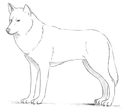 Схема рисования лисы