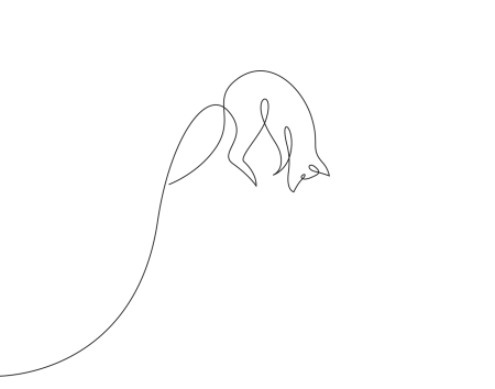 Роспись одной линией