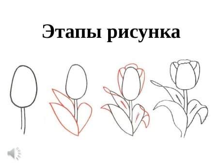 Схемы рисования цветов
