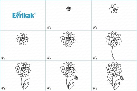 Как нарисовать георгины поэтапно