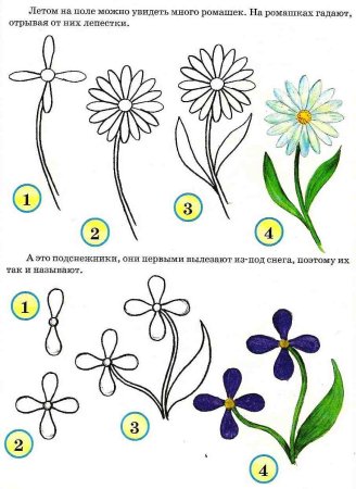 Этапы рисования
