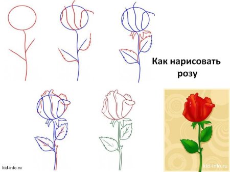 Панда рисунок карандашом легкий