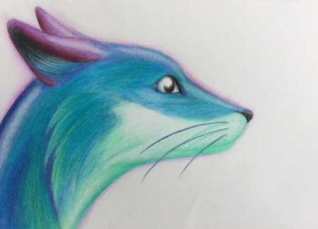 Попугай цветными карандашами