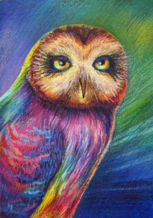 Кот цветными карандашами реалистично