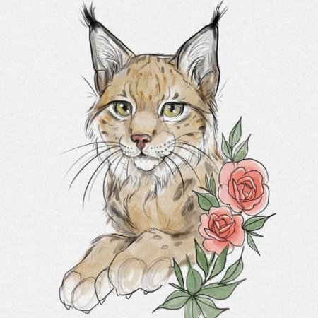 Рисунки цветными карандашами