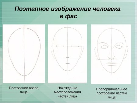 Последовательность рисования портрета