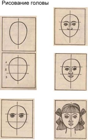 Схема поэтапного рисования портрета
