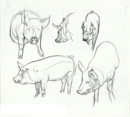 Геометрические головы животных