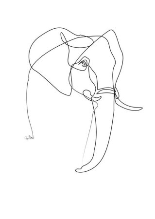 Kellas Campbell кошки