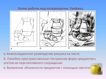 Этапы рисования натюрморта карандашом
