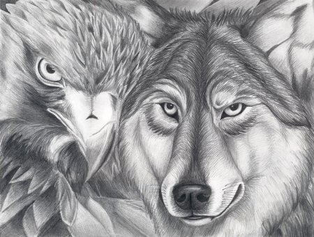 Рисунки Волков карандашом