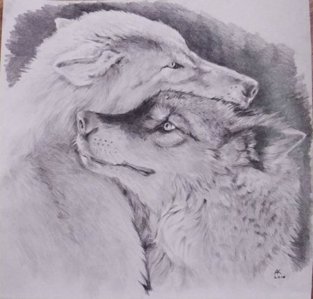 Рисунки Волков для срисовки