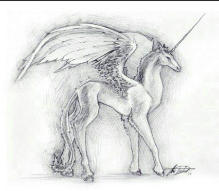 Fennec Fox рисунок