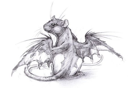 Дракон набросок