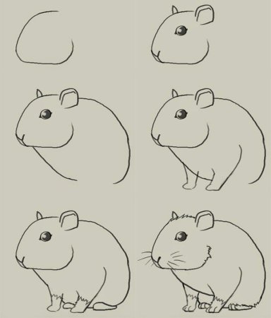 Рисунки для срисовки прикольные