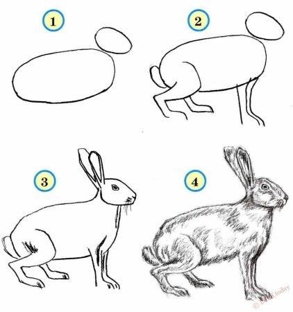 Лёгкие рисунки