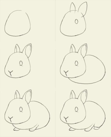 Белка этапы рисования