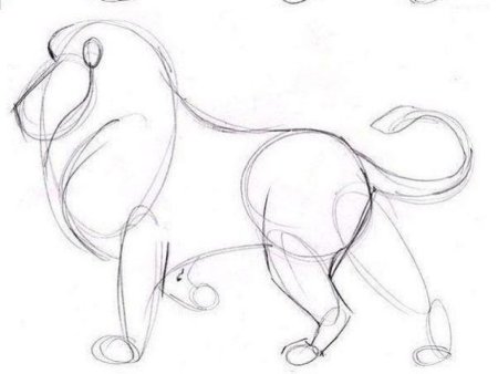 Лёгкие рисунки животных