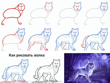 Поэтапное изображение животных