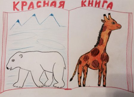 Животные из красной книги нарисовать