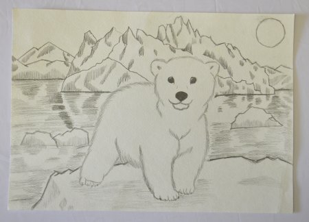 Животные из красной книги рисунки детей