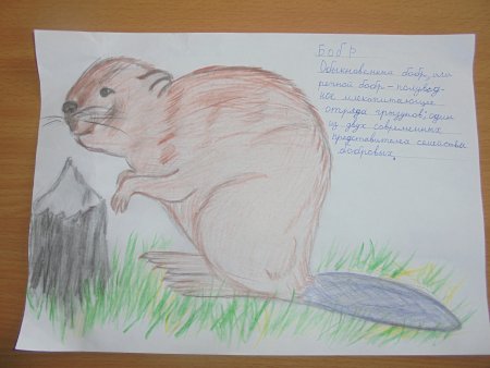 Рисунок на тему животн