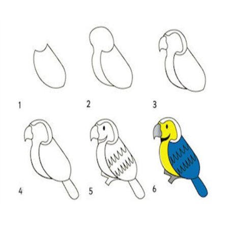 Последовательное рисование птицы