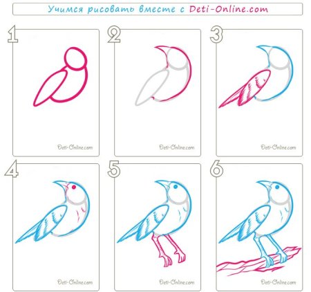 Рисование голубя поэтапно