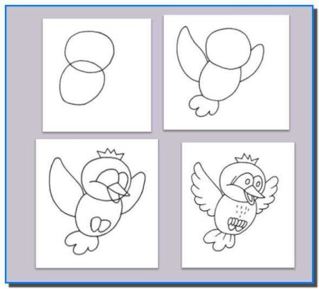 Поэтапное рисование птицы синицы