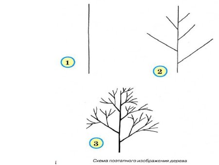 Поэтапное рисование дерева