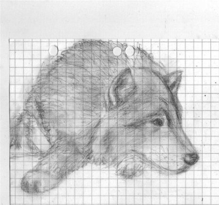 Рисунки по клеточкам собаки