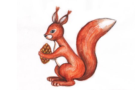 Белка рисунок для детей