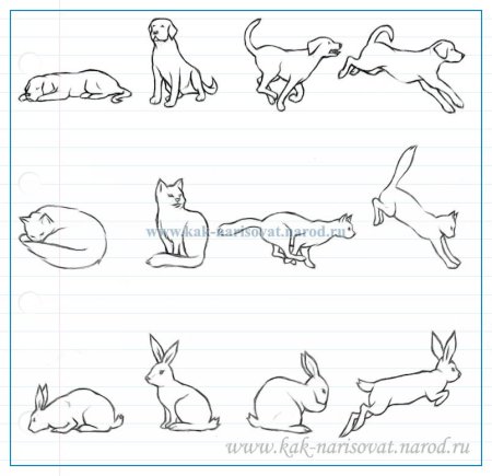 Рисунок животное вмдвижении