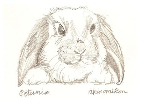 Простые Наброски животных