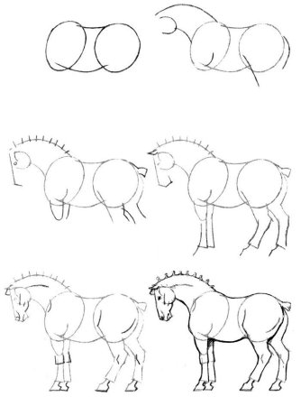 Как нарисовать белку