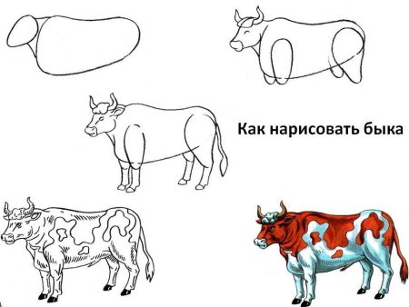 Домашние животные зарисовки